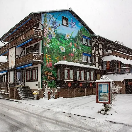 Hotel Dorer Schoenwald im Schwarzwald