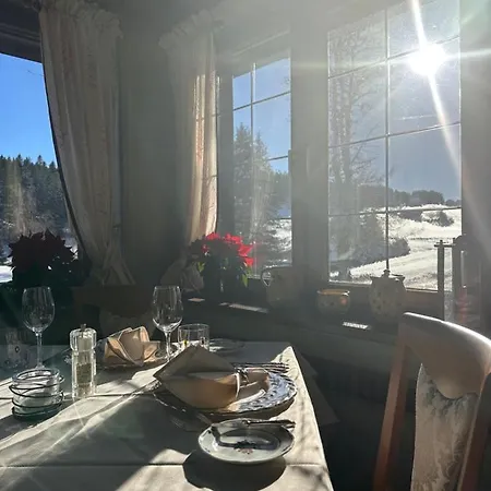 Dorer Hotel Schoenwald im Schwarzwald