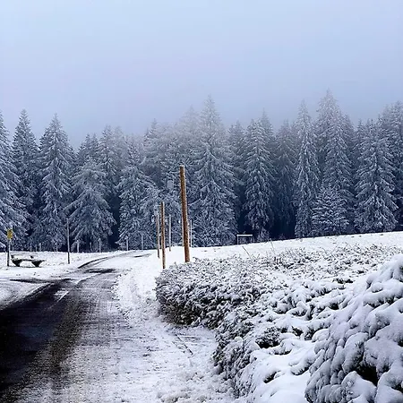 Boutique Dorer Hotel