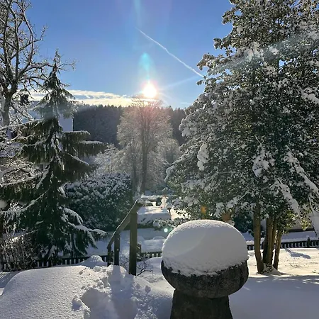 Hotel Dorer Schoenwald im Schwarzwald