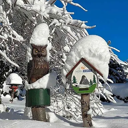Dorer Schoenwald im Schwarzwald