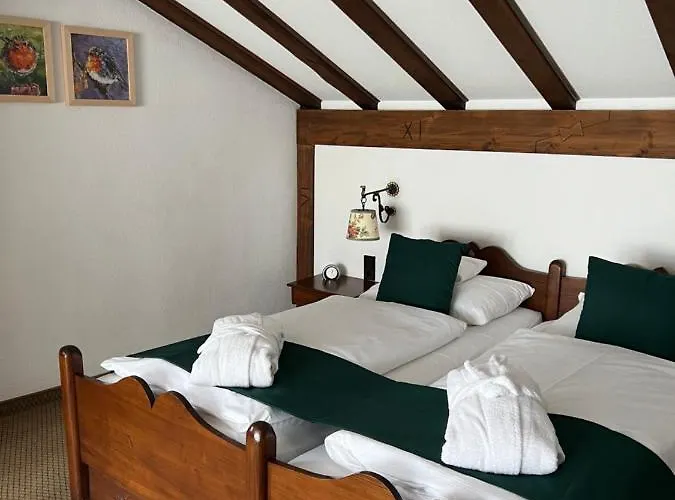 Boutique Dorer Hotel 4*