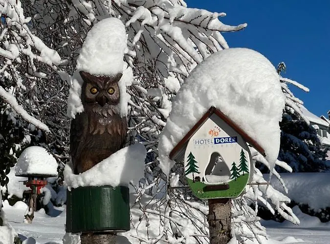 Hotel Boutique Dorer