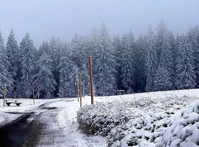 Boutique Dorer Hotel